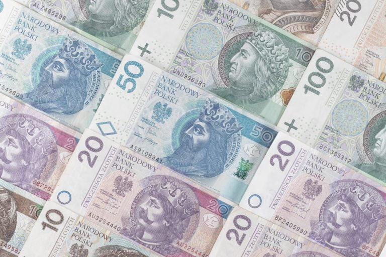 polish zloty